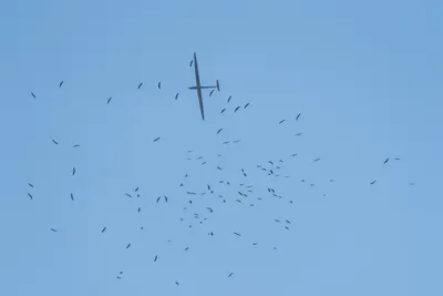 Erster Wertungstag der Junioren Weltmeisterschaften im Segelflug in Aalen