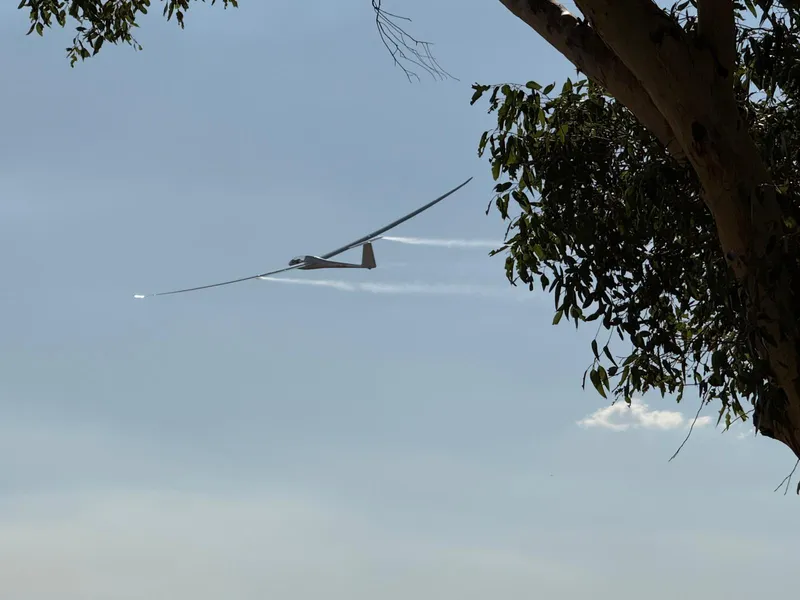 Online Game for Glider Pilots, Copilot Update and New Badges?