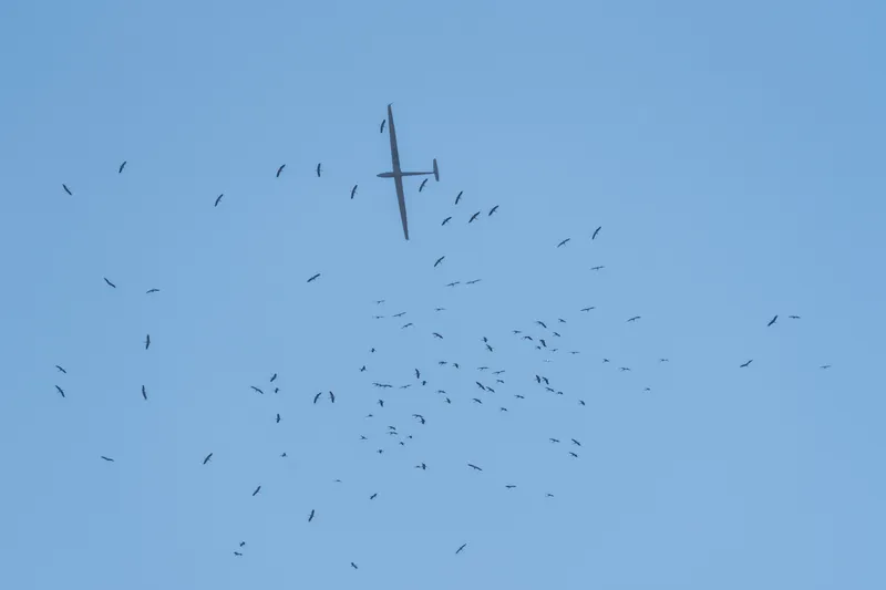 Erster Wertungstag der Junioren Weltmeisterschaften im Segelflug in Aalen